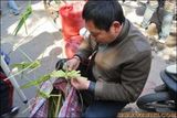 民间草编A3